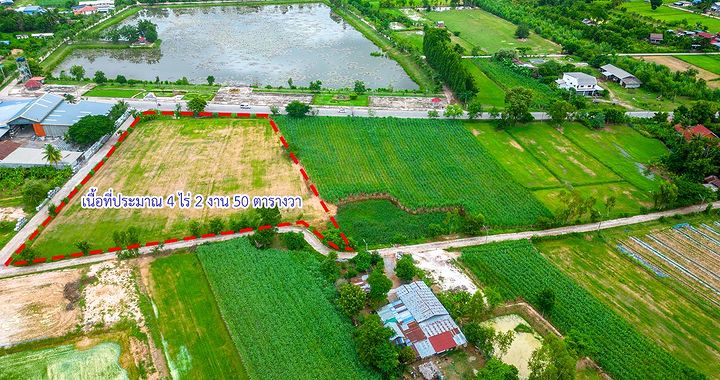 ตงตง กฤษกร