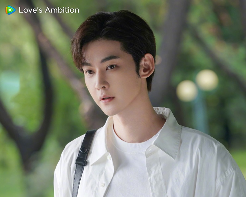 เกมรักในเงาลวง เรื่องย่อ Love's Ambition เกมรักกับดักใจ