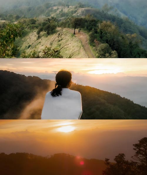 ผาสองฤดู เชียงใหม่  