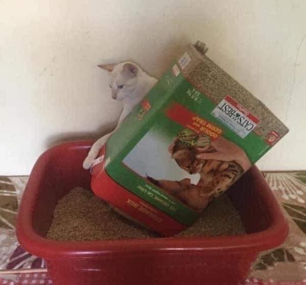 ทำงานบ้าน