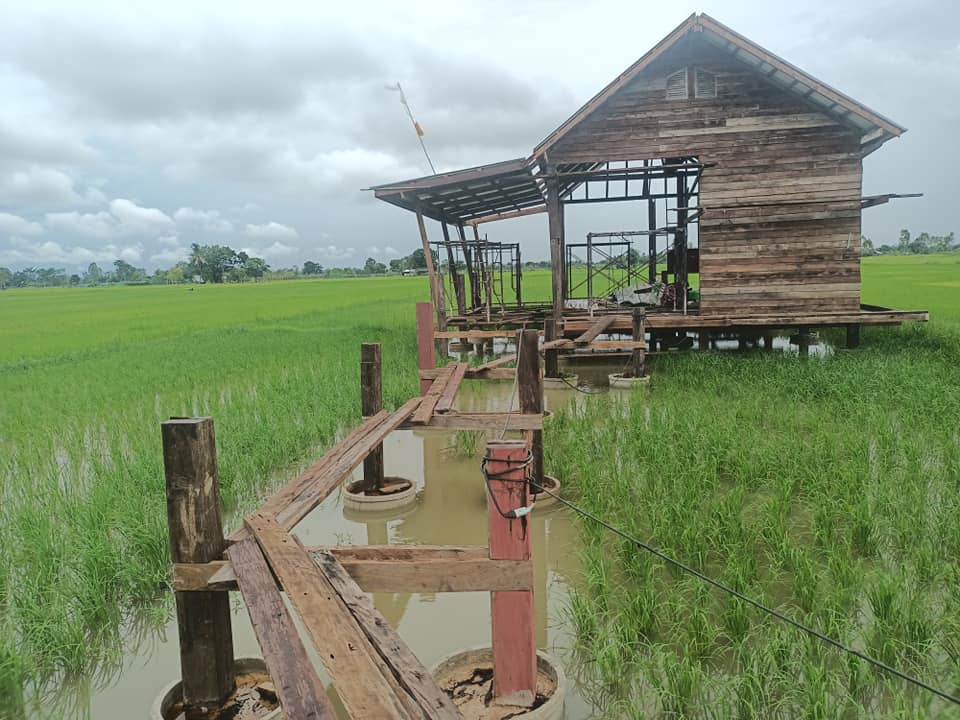 สร้างบ้านกลางทุ่งนา