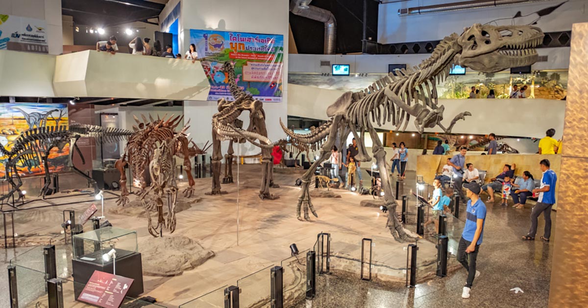 พิพิธภัณฑ์ในไทย