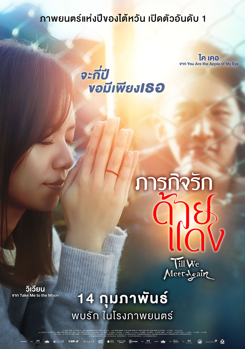 ภารกิจรักด้ายแดง Till We Meet Again
