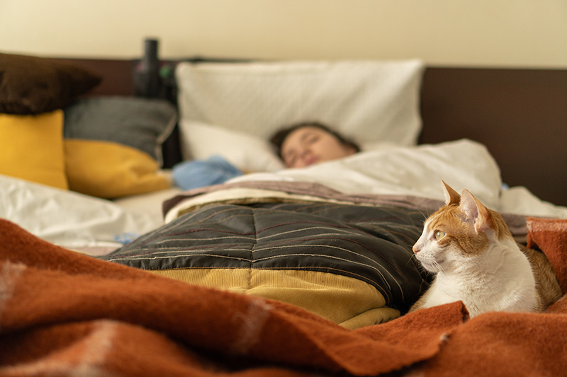 นอนกับสัตว์เลี้ยง