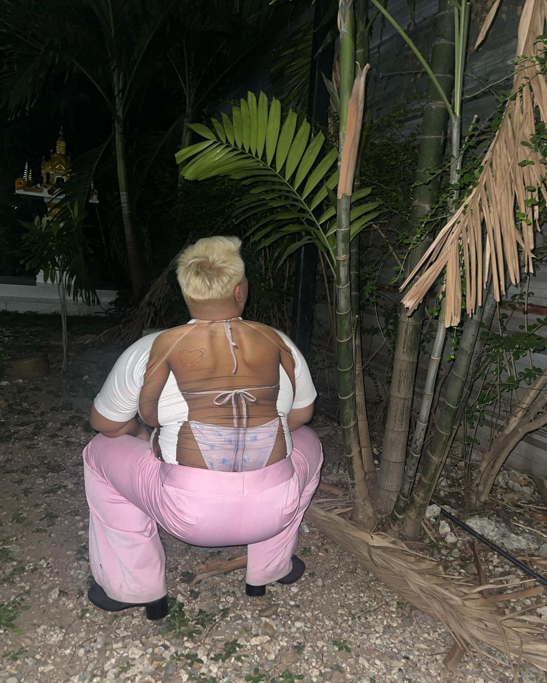 ปิงปอง ธงชัย 