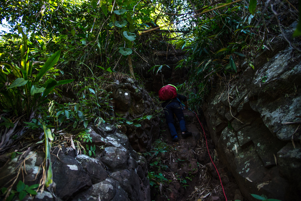 ภูเมี่ยง อุตรดิตถ์ 