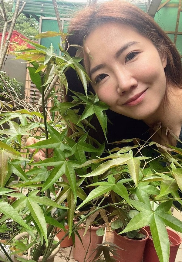 เซี่ยซิน