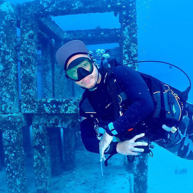 กวาง AB Normal