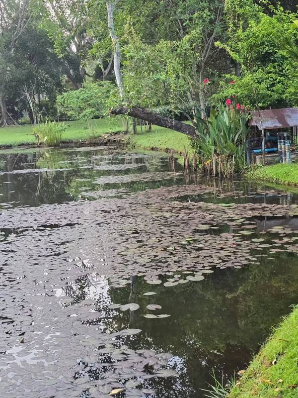 บ้านสวน ป้าจิ๊ อัจฉราพรรณ