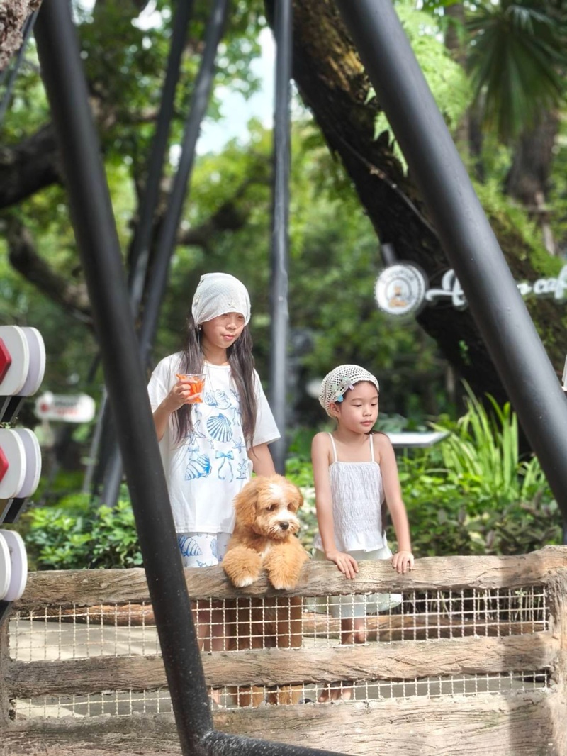 กุ๊บกิ๊บ บี้