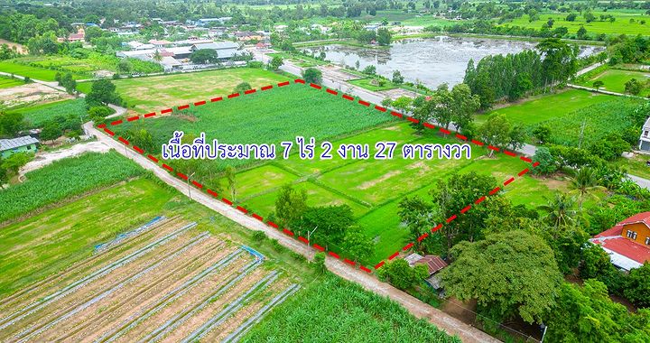 ตงตง กฤษกร