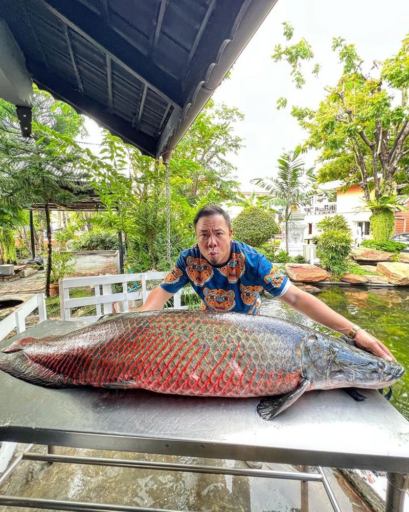 ดีเจภูมิ