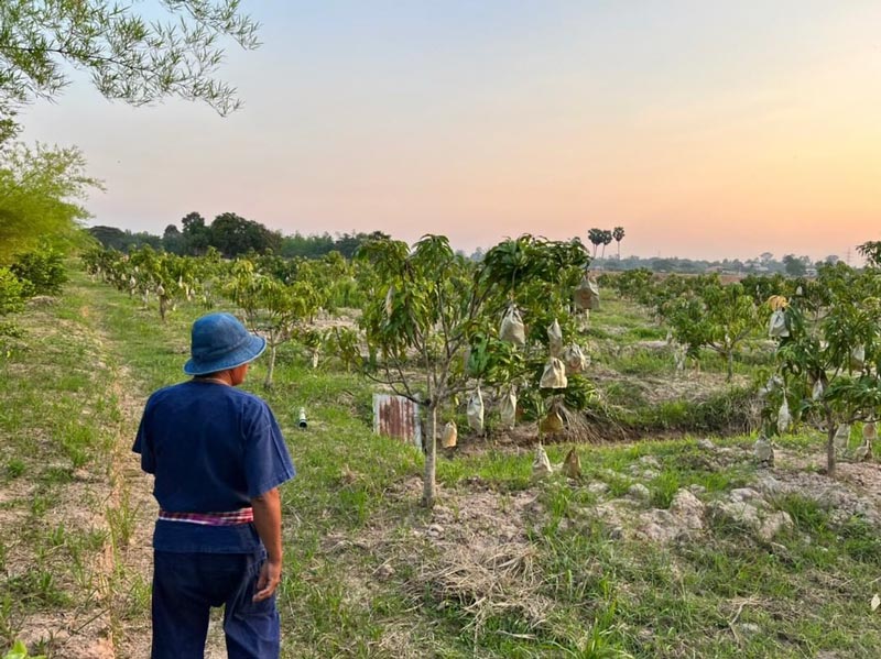 ไมค์ ภิรมย์พร