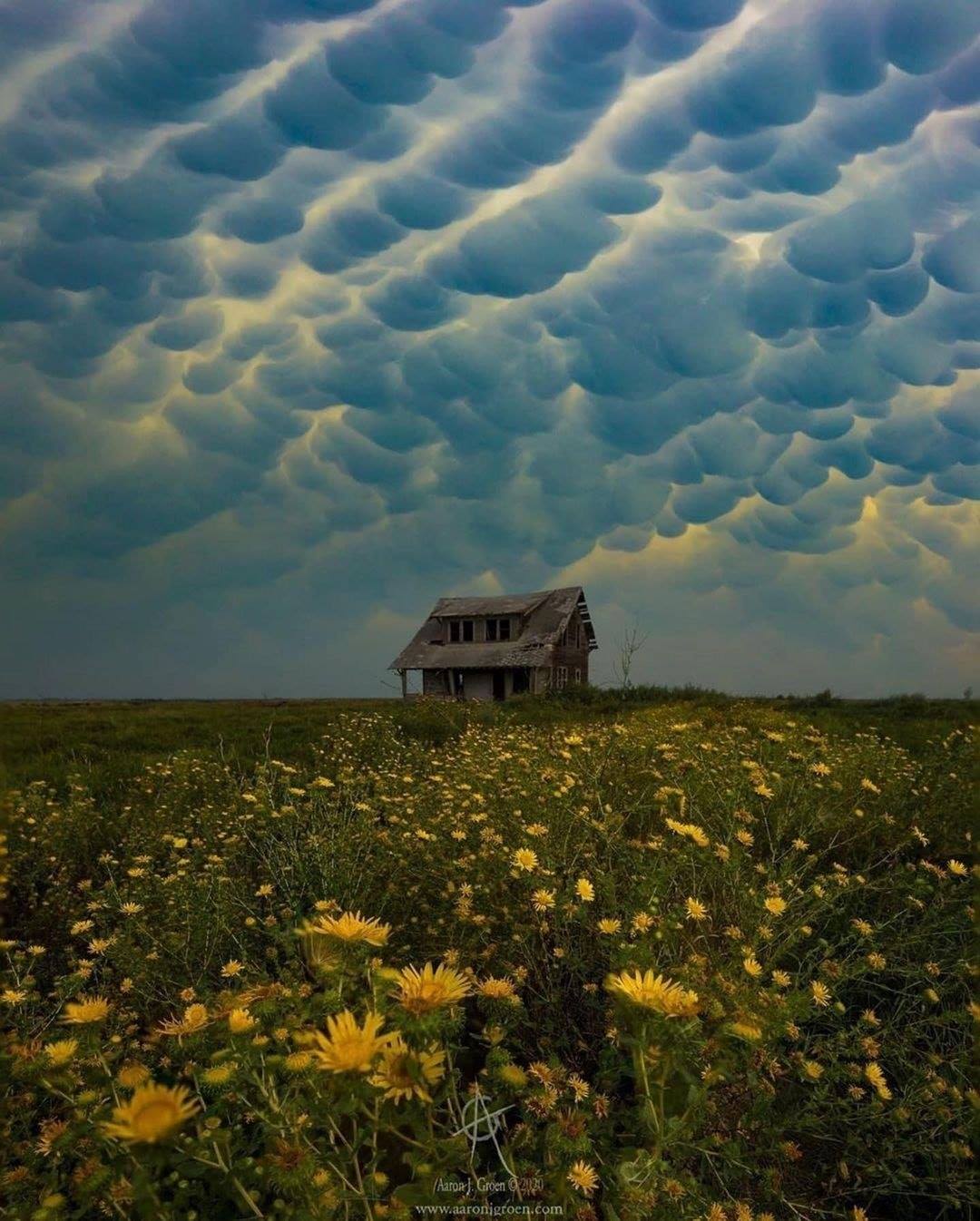 à¸à¸²à¸£à¸£à¸§à¸¡à¸à¸±à¸§à¸à¸­à¸à¸à¹à¸­à¸à¹à¸¡à¸ à¸¨à¸´à¸¥à¸à¸°à¸à¸µà¹à¸à¸£à¸£à¸¡à¸à¸²à¸à¸´à¸ªà¸£à¸£à¸à¹à¸ªà¸£à¹à¸²à¸