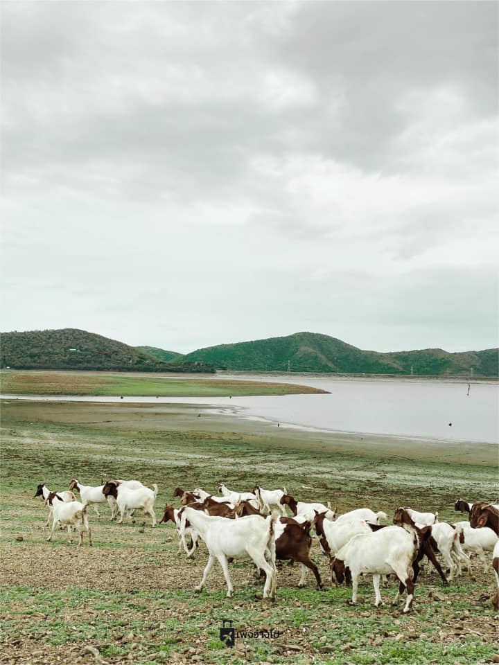 เขื่อนปราณบุรี