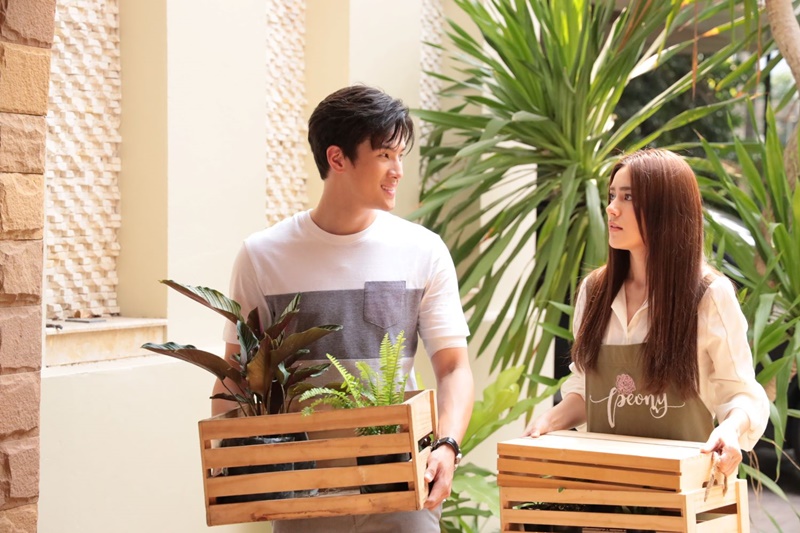 สองเสน่หา