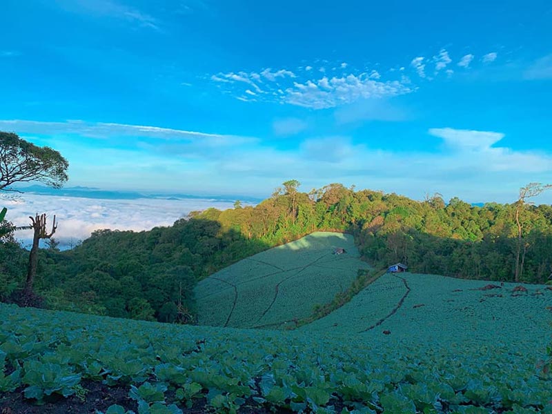 สถานที่ท่องเที่ยวดอยบ่าโจ๊ะโข้ว เชียงใหม่ 
