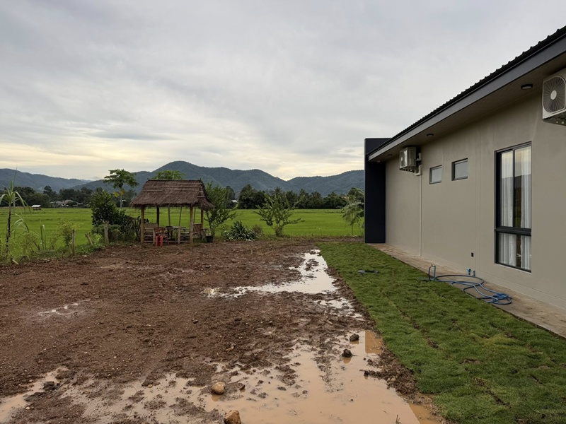 บ้านกลางทุ่งนา