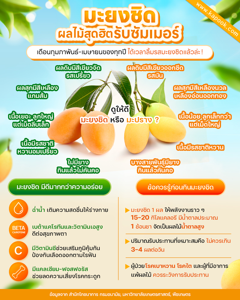 มะยงชิด 