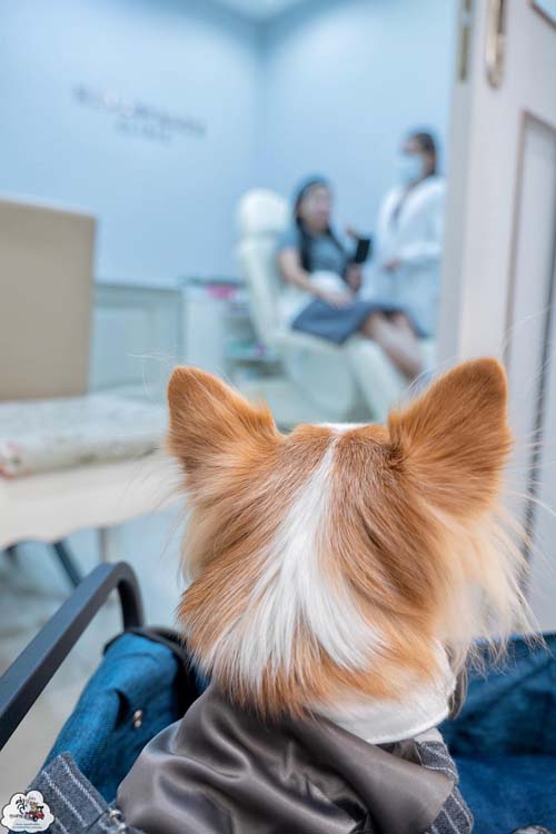 คลินิกความงาม 