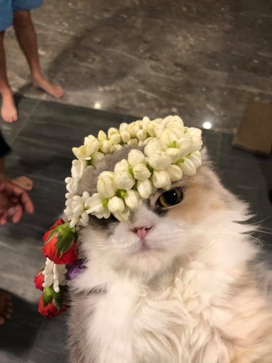 ไหว้แม่