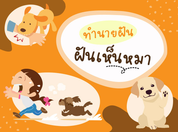 .ฝันเห็นหมา ฝันว่าหมากัด ทำนายฝันจะดีหรือร้าย พร้อมค้นหาเลขเด็ดนำโชค.