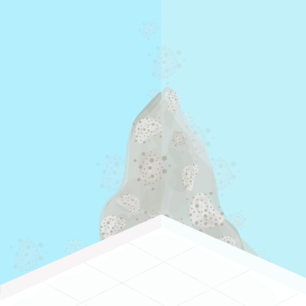 เชื้อราในบ้าน