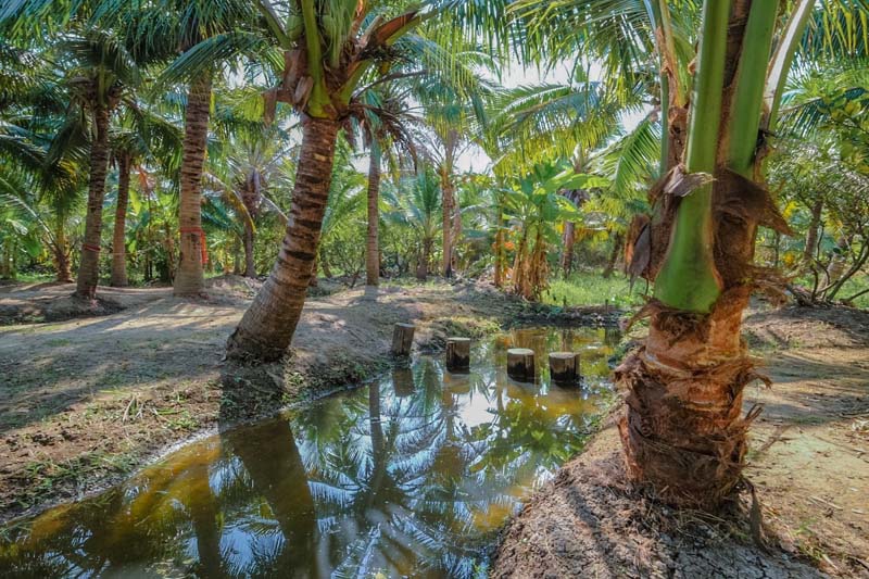 ฟาร์มลุงอ้วน