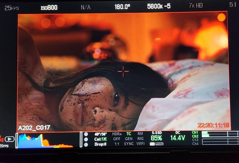 มาย ฮาเร็ม