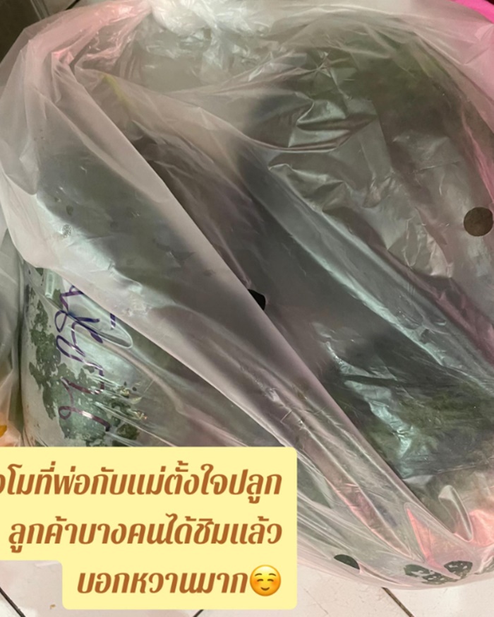 เปิดร้านส้มตำ