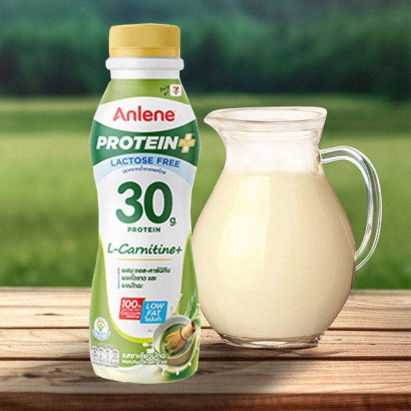 นมโปรตีนสูง แอนลีน โปรตีนพลัส