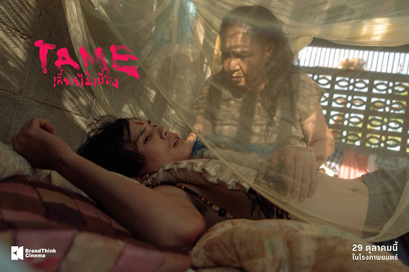 TAME เลี้ยงไม่เชื่อง หนังใหม่ 2026 หนังใหม่เดือนตุลาคม 2569 ดูหนัง