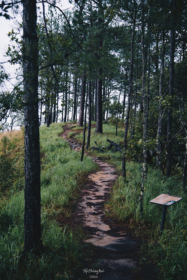 ดอยหัวหมู