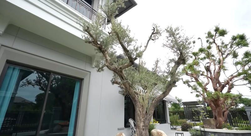 บ้าน  แมน การิน และ เกล รดา สวนหน้าบ้าน