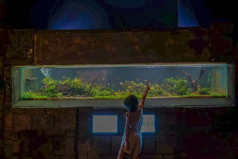 Aquarium สวนสัตว์เชียงใหม่ 