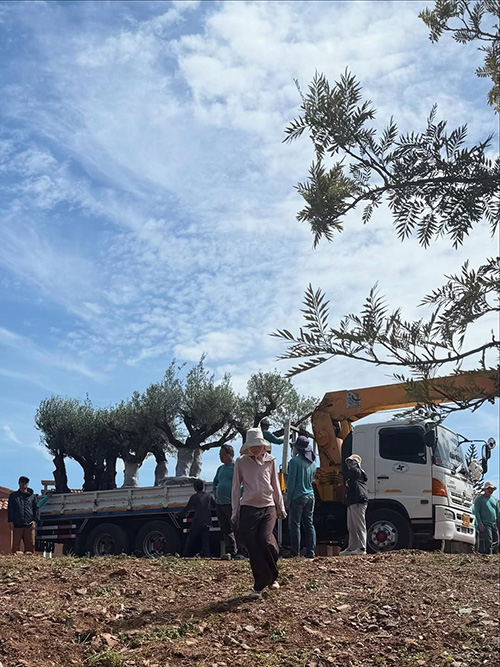 บ้านญาญ่า เขาใหญ่