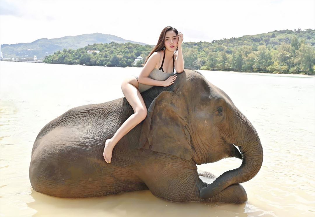 ฝน ชลดา