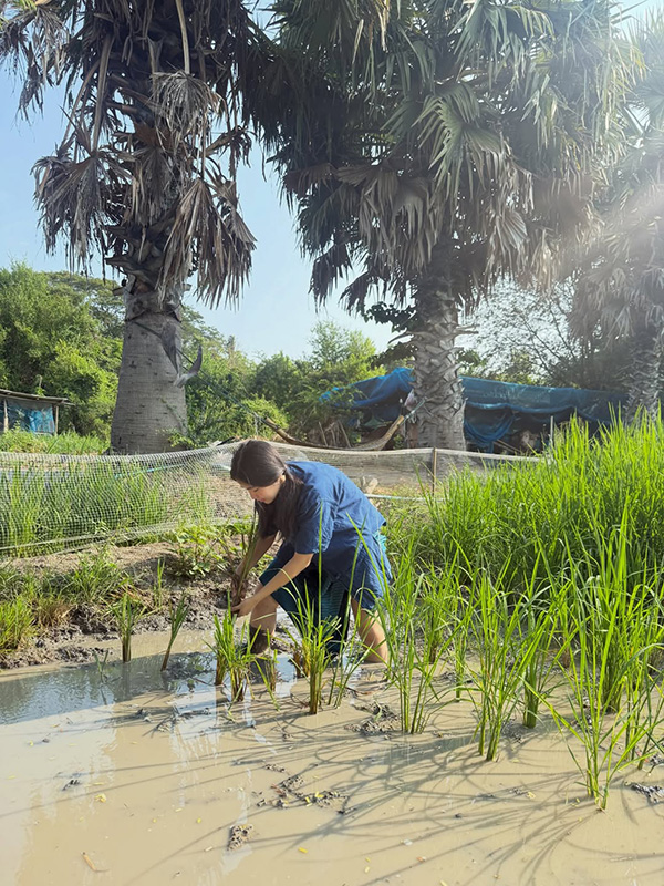 ก้อย อรัชพร