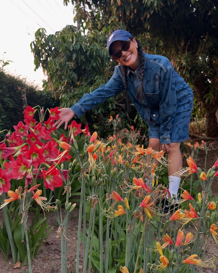 บ้านสวน แพรี่พาย