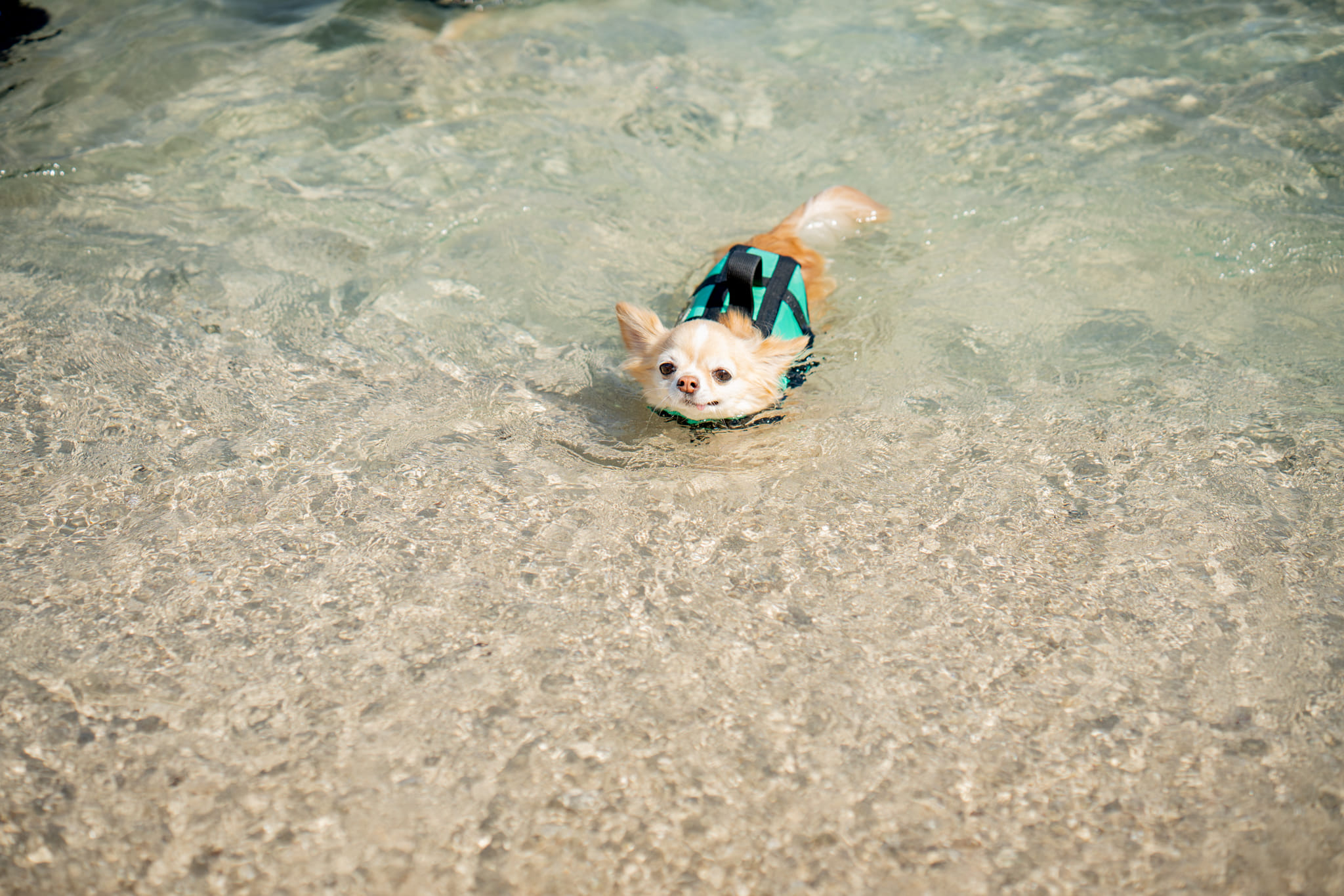 เรือ Le fong ar-kad