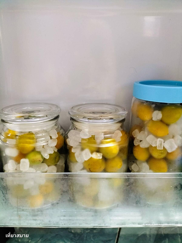 ไซรัปบ๊วย วิธีทำ Ume Syrup สูตรเครื่องดื่ม
