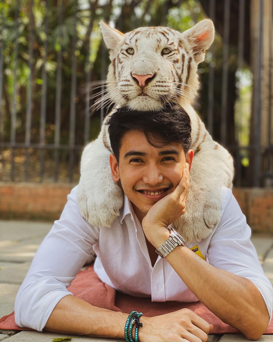 ก๊อต จิรายุ ประวัติ