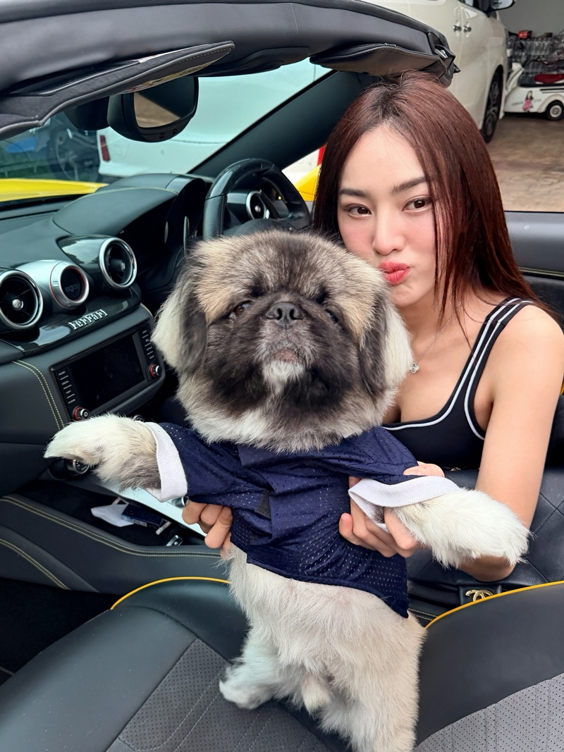 เส้นด้าย สอดอStyle