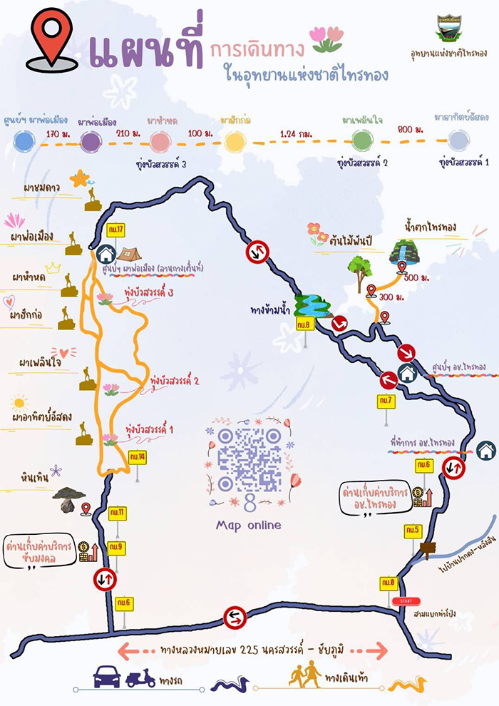 ทุ่งดอกกระเจียว 2568 อุทยานฯ ไทรทอง