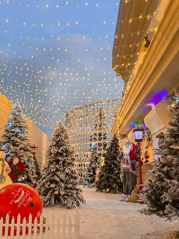 คาเฟ่หิมะ อยุธยา