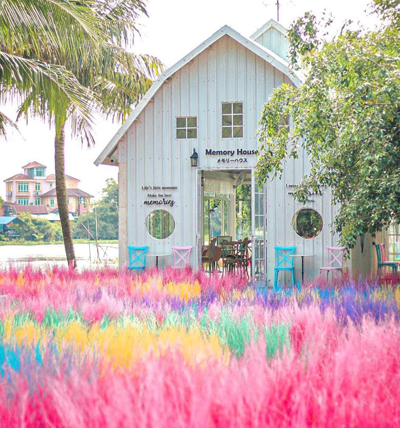 คาเฟ่สามพราน