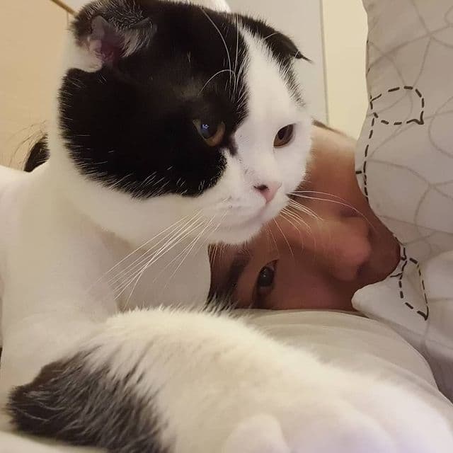 ปีโป้ ณัชพัณณ์