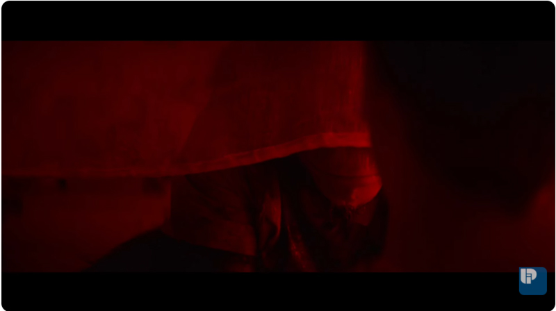 Primate ลิงคลั่งพันธุ์ดิบ หนังสยองขวัญ หนังลิงดุ หนังใหม่ 2026 ภาพตัวอย่าง