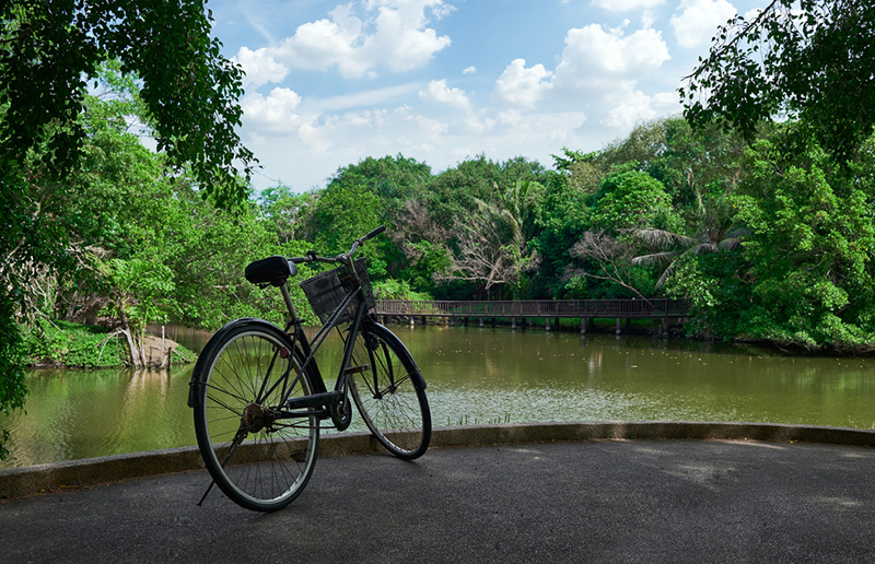 ที่เที่ยวเดือนกันยายน 2568 บางกระเจ้า จังหวัดสมุทรปราการ