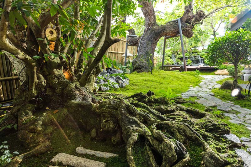 จัดสวนญี่ปุ่น